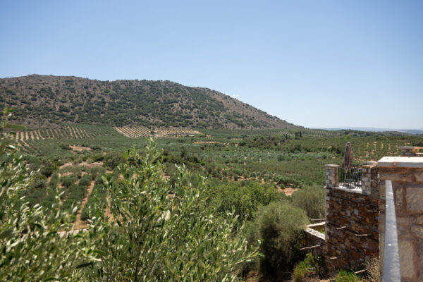 AMZ_9080